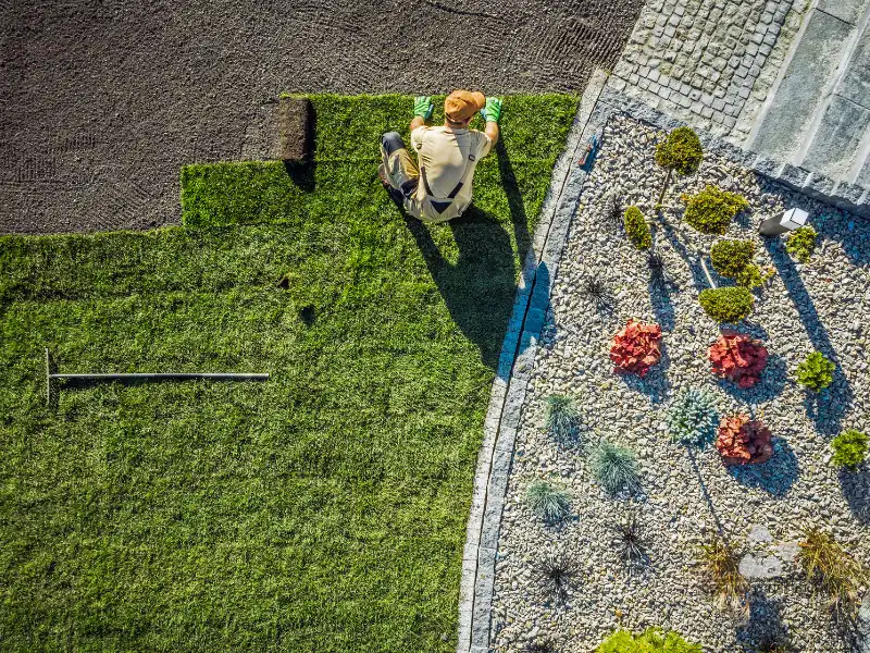 Comprehensive Insights into Landscape Design Services