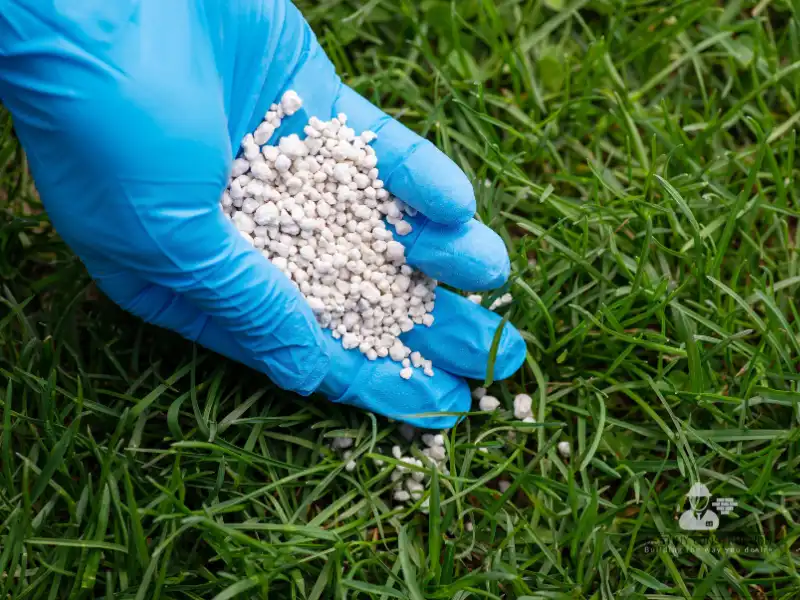 Fall & Winter Landscaping: Prep Your Yard for Success