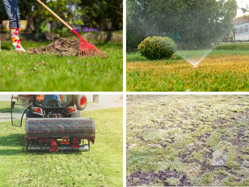 The Ultimate Complete Guide to Lawn Care &#038; Maintenance