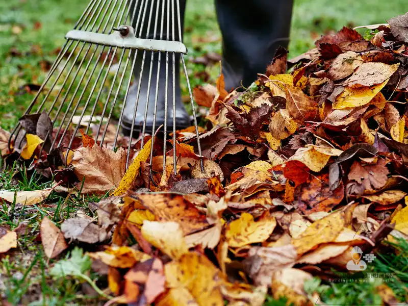 Fall & Winter Landscaping: Prep Your Yard for Success