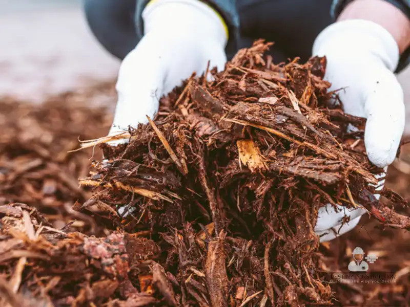 Fall & Winter Landscaping: Prep Your Yard for Success