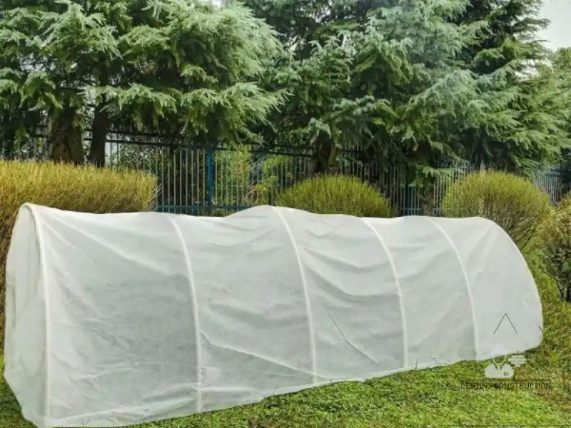 Fall & Winter Landscaping: Prep Your Yard for Success