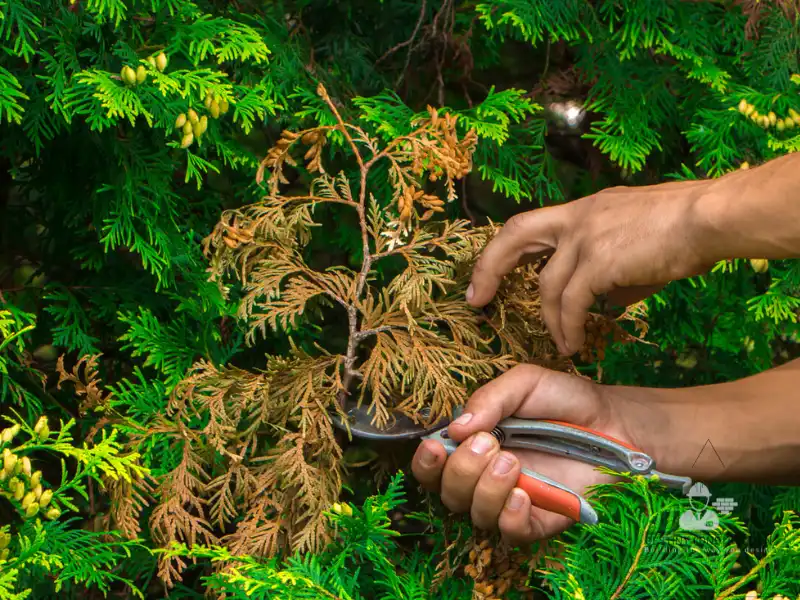 Fall & Winter Landscaping: Prep Your Yard for Success