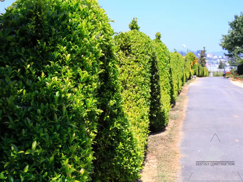 Fall & Winter Landscaping: Prep Your Yard for Success