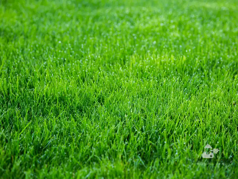 Fall & Winter Landscaping: Prep Your Yard for Success