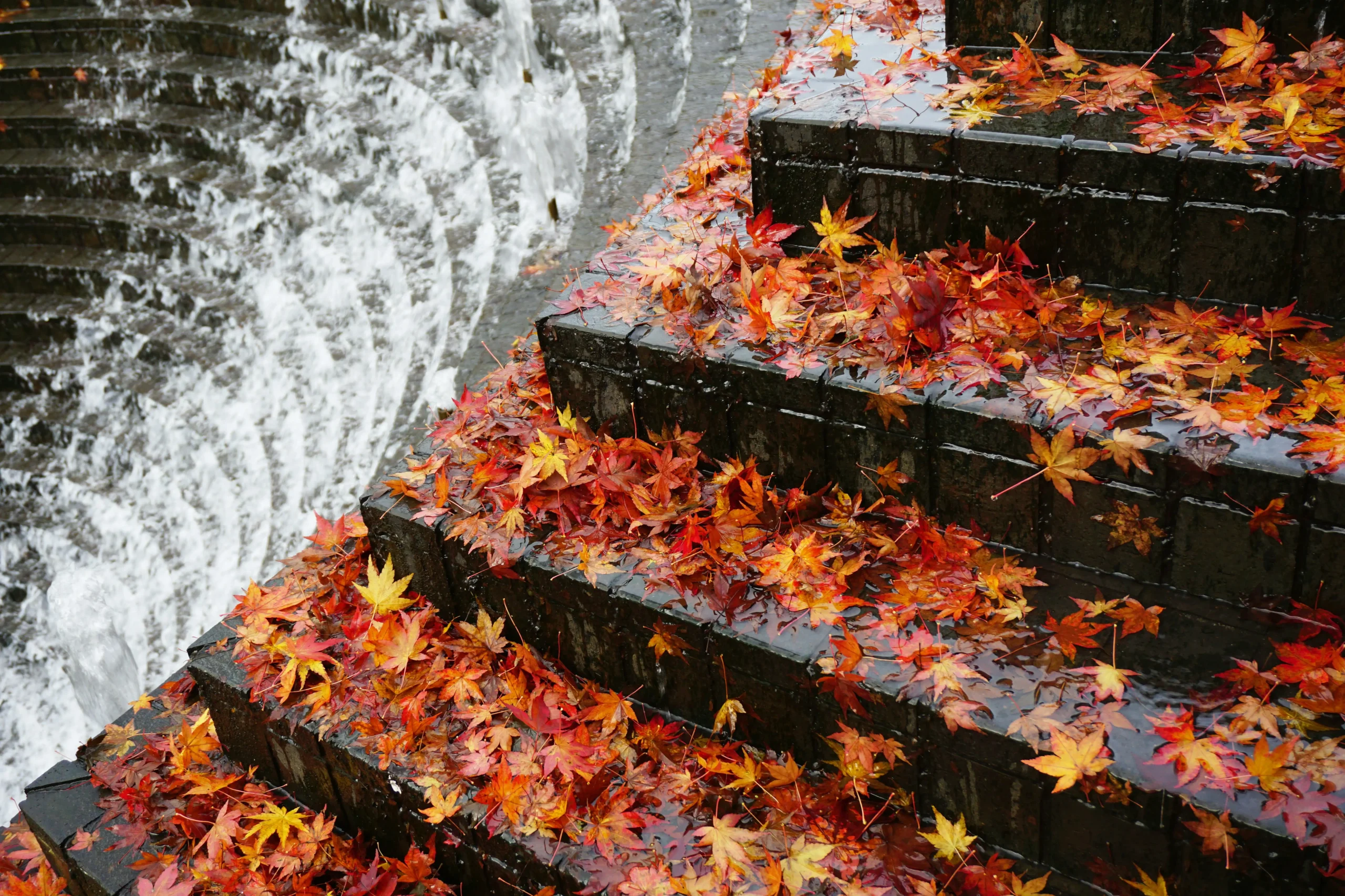 Fall Landscaping Checklist: Prepare Your Lawn and Garden for Winter