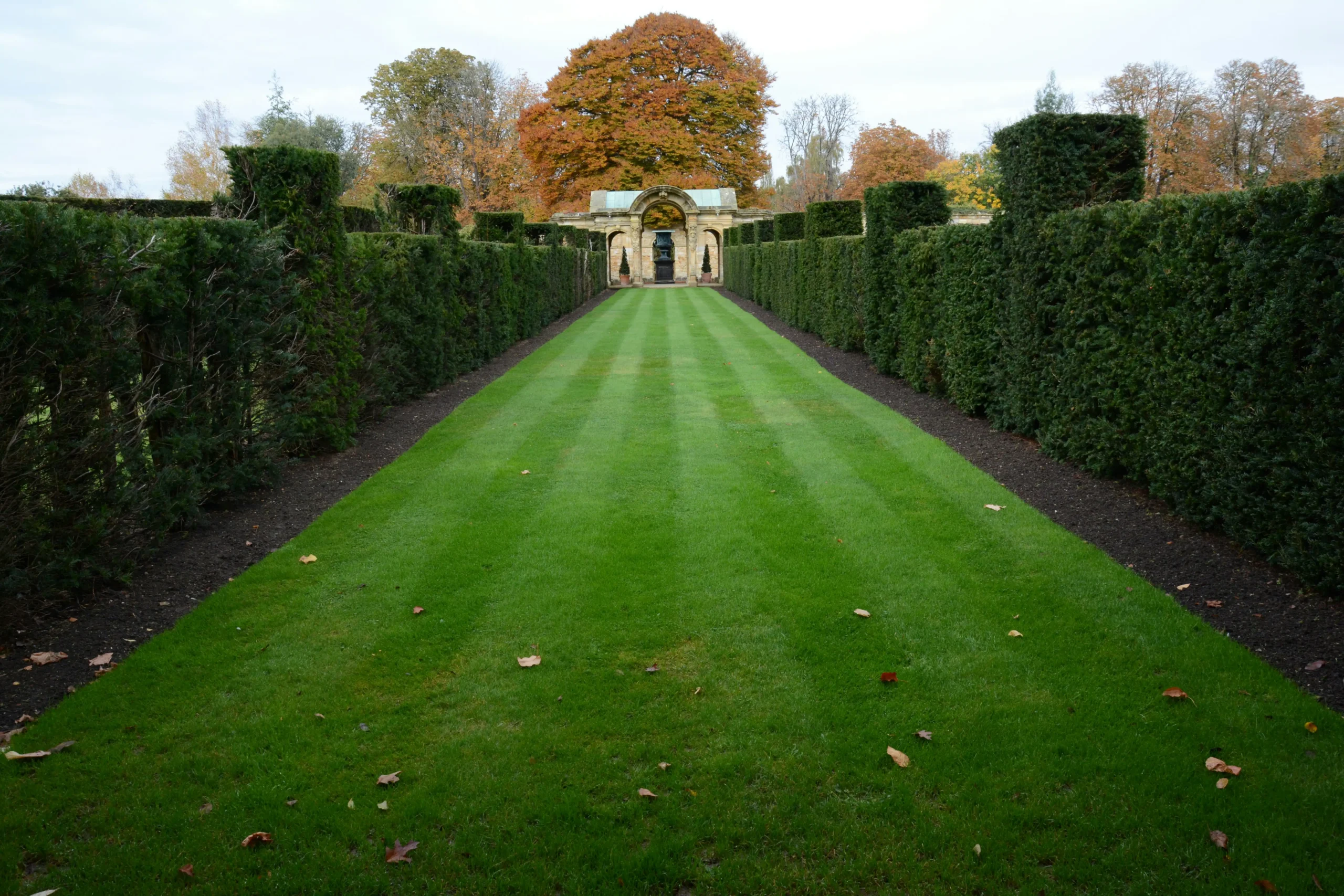 Fall Landscaping Checklist: Prepare Your Lawn and Garden for Winter