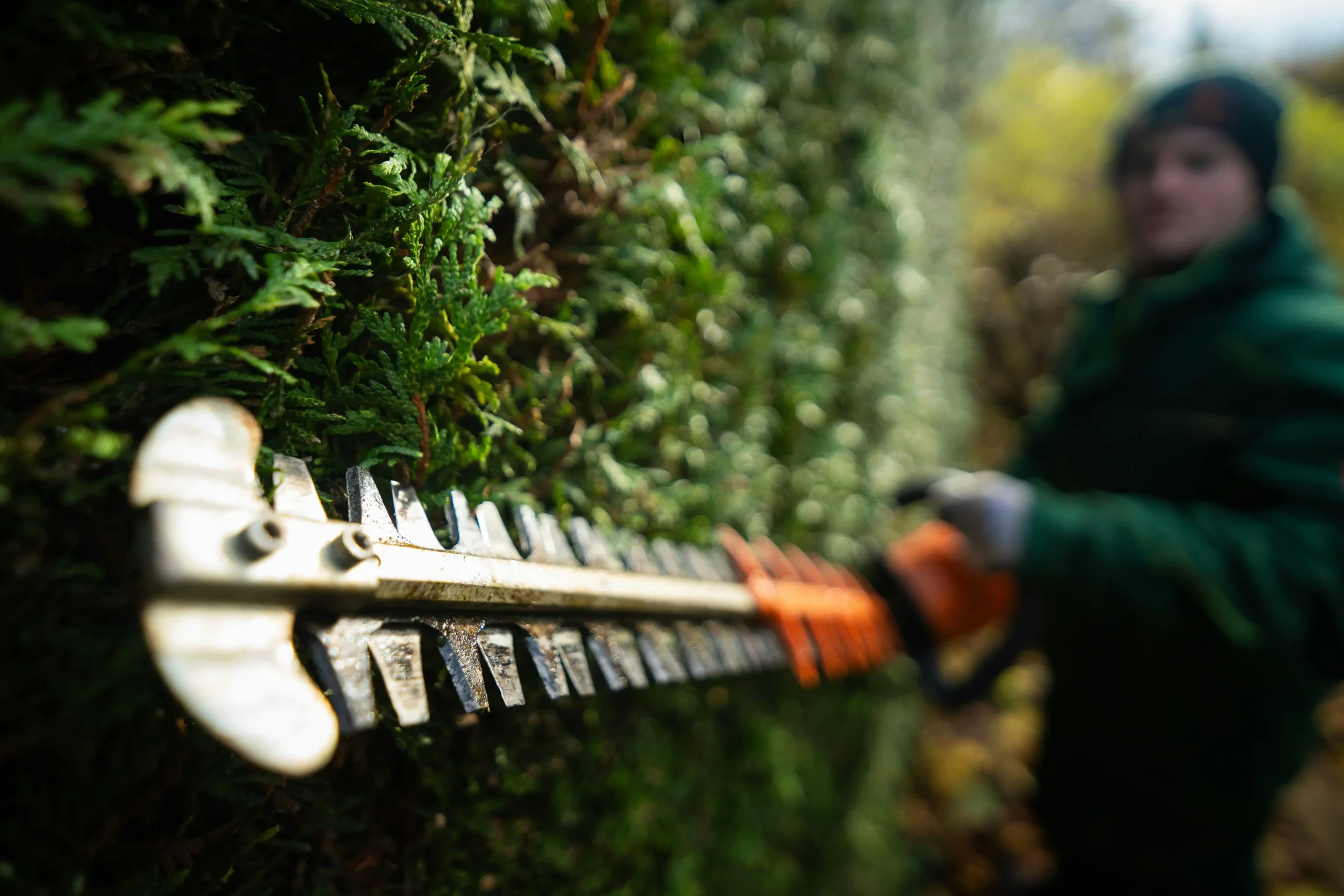 Fall Landscaping Checklist: Prepare Your Lawn and Garden for Winter