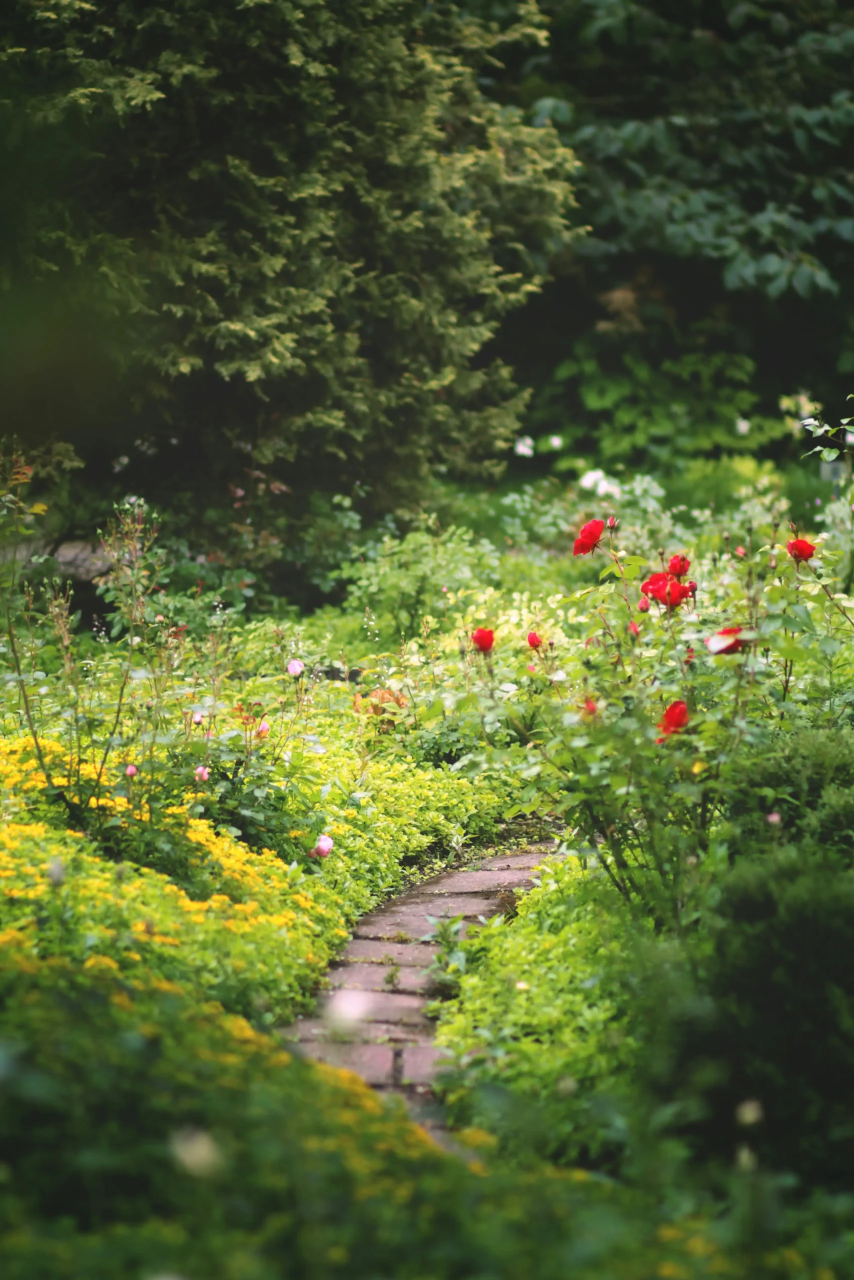 Fall Landscaping Checklist: Prepare Your Lawn and Garden for Winter