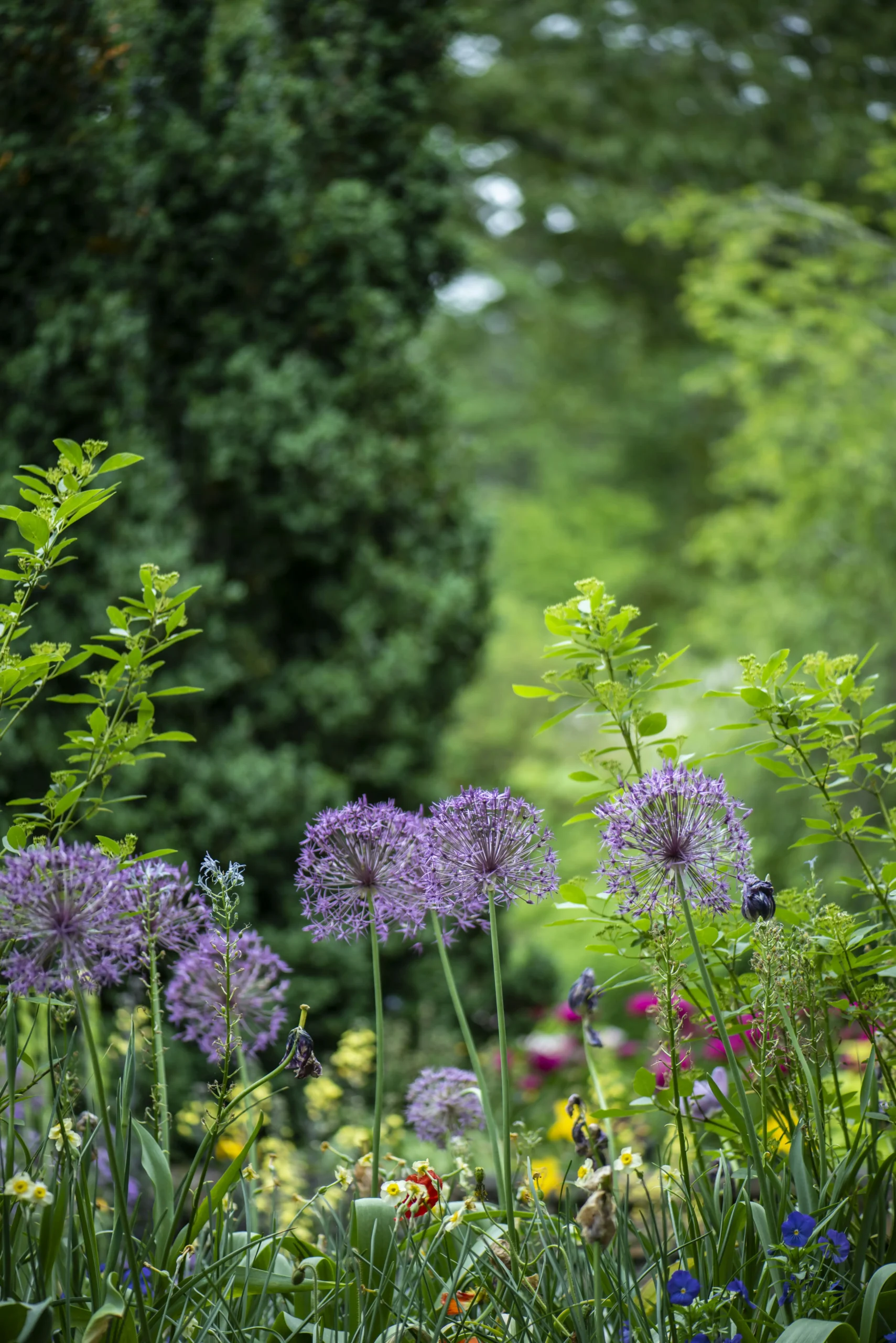 Fall Landscaping Checklist: Prepare Your Lawn and Garden for Winter