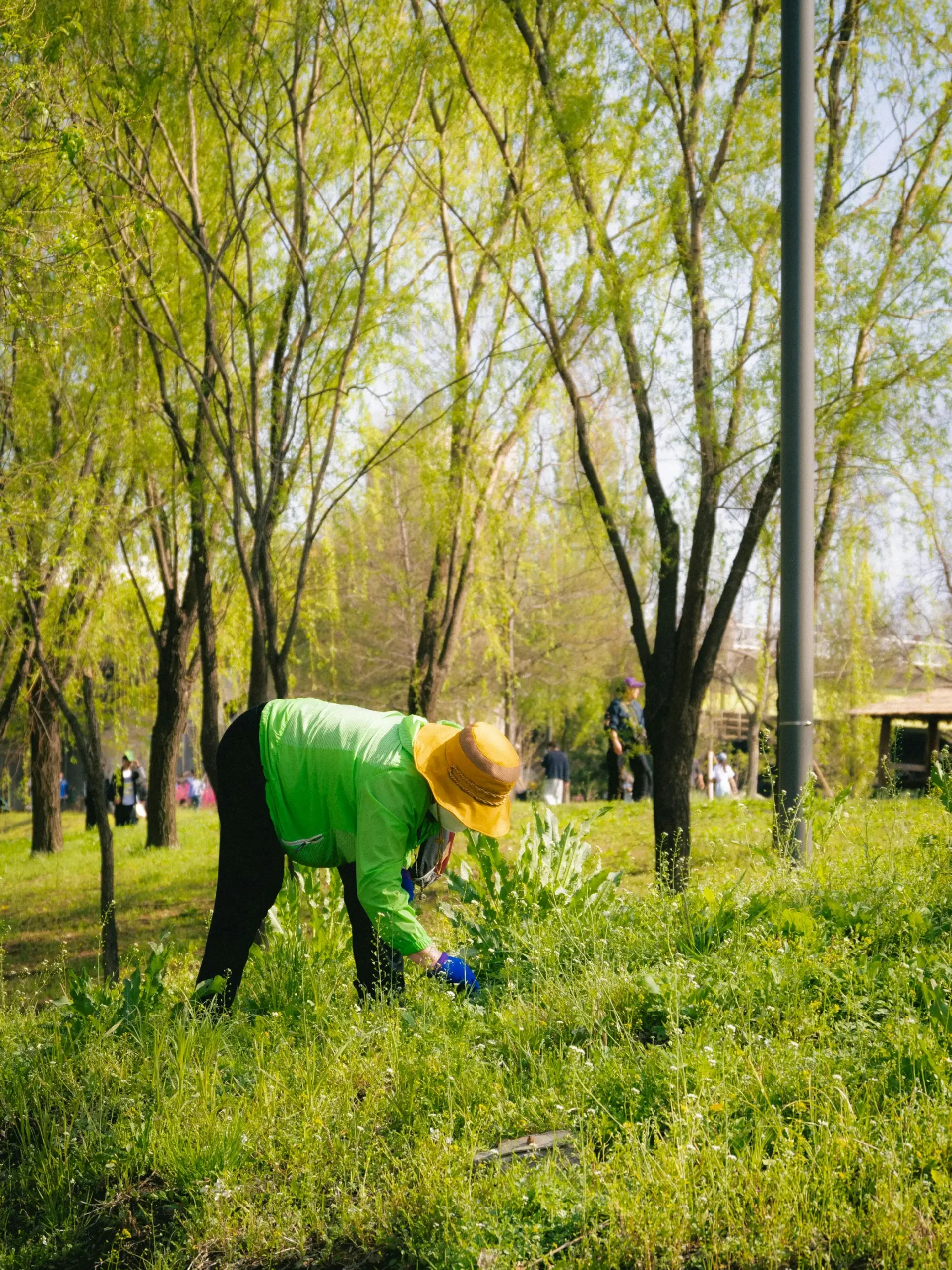 Lawn Care &#038; Landscaping Services: List for Home &#038; Commercial Landscape