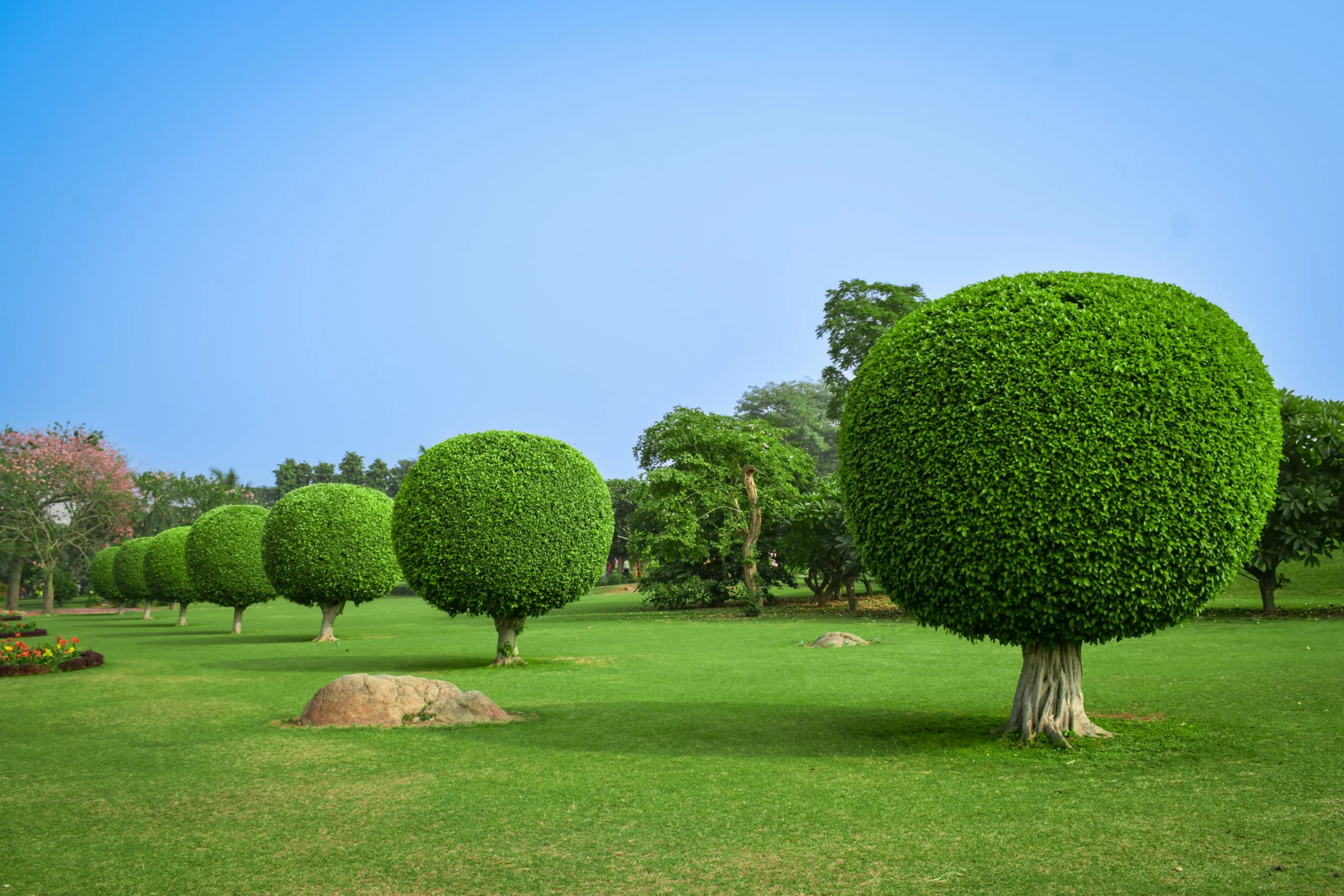 Lawn Care &#038; Landscaping Services: List for Home &#038; Commercial Landscape