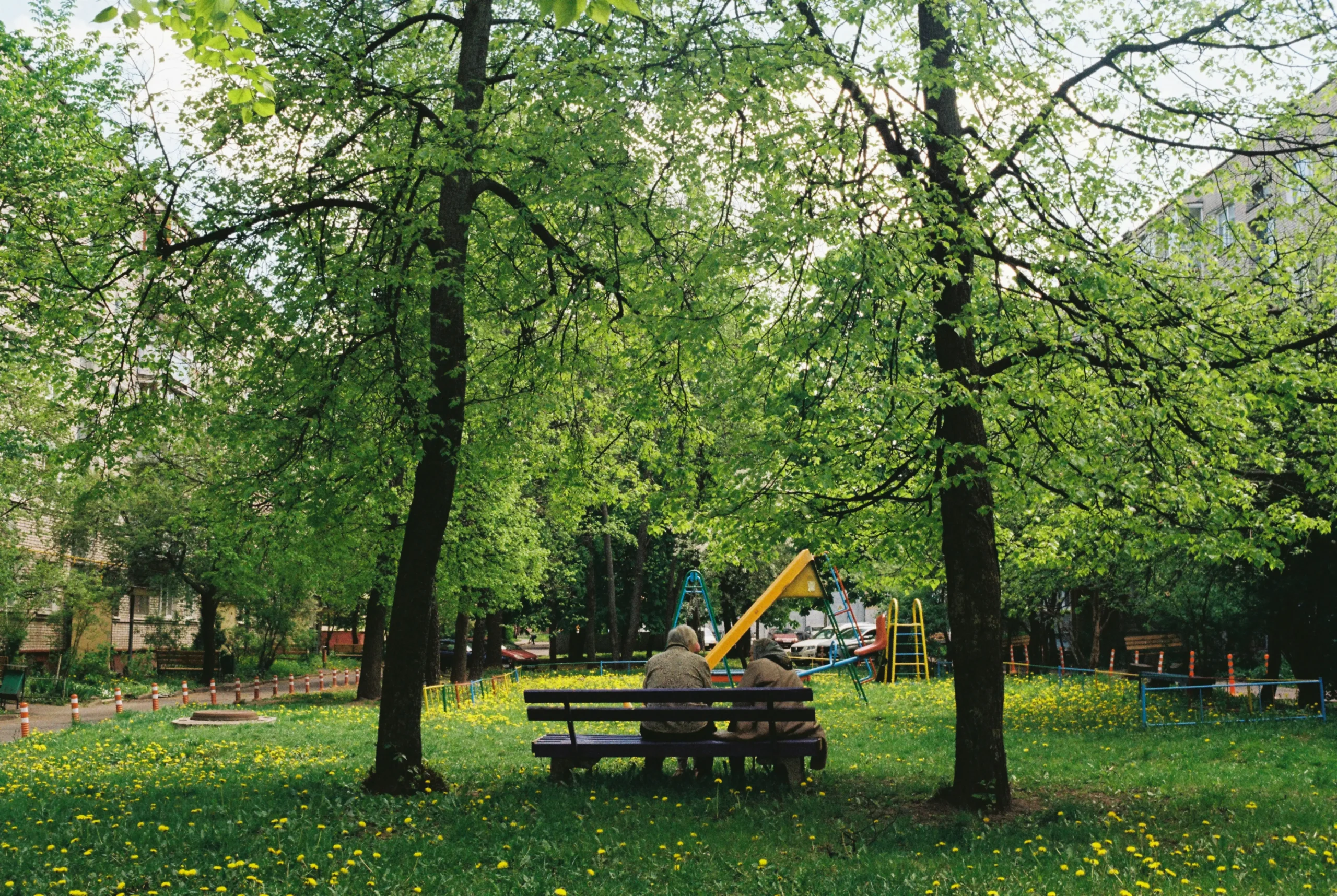 Lawn Care &#038; Landscaping Services: List for Home &#038; Commercial Landscape