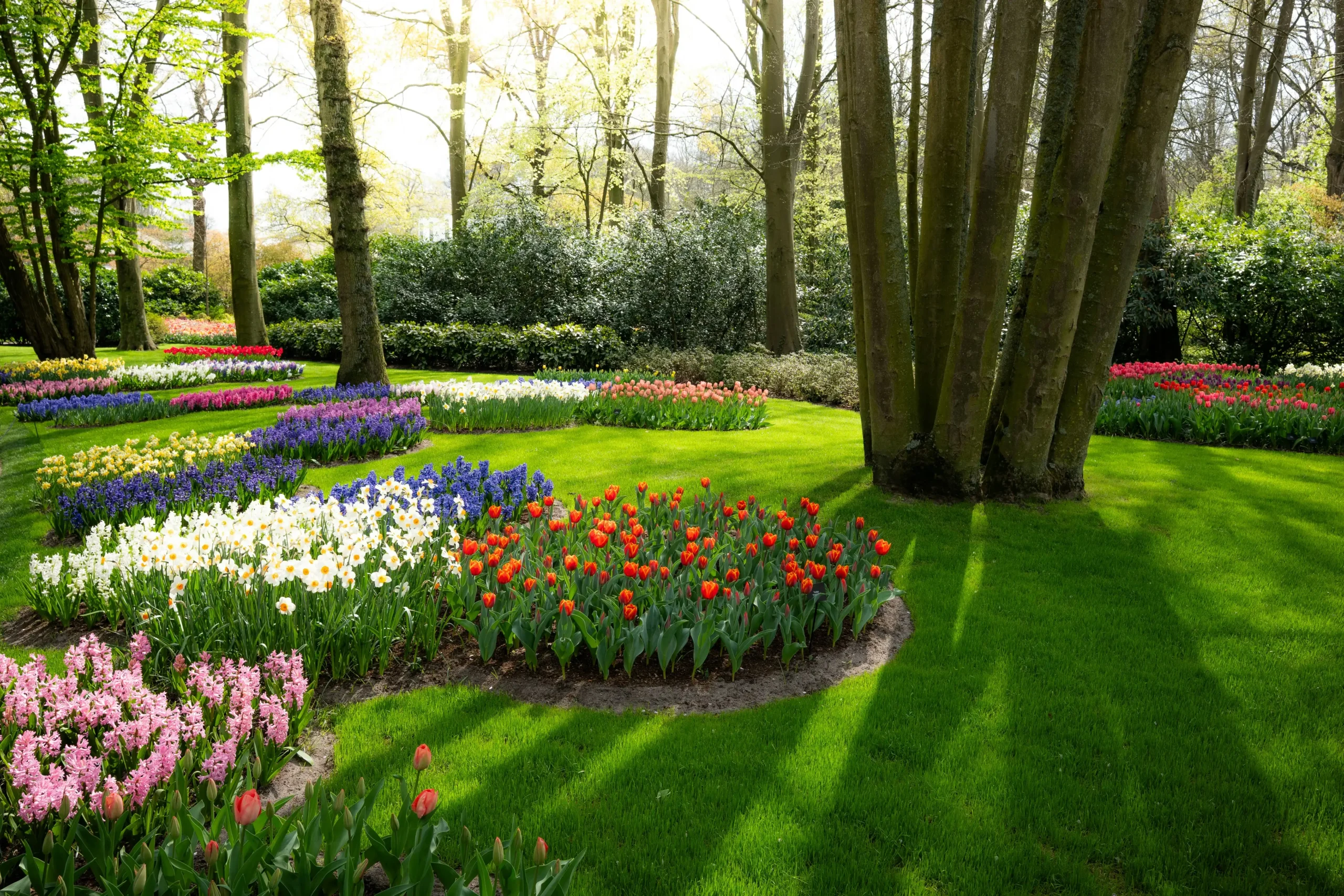 Lawn Care &#038; Landscaping Services: List for Home &#038; Commercial Landscape