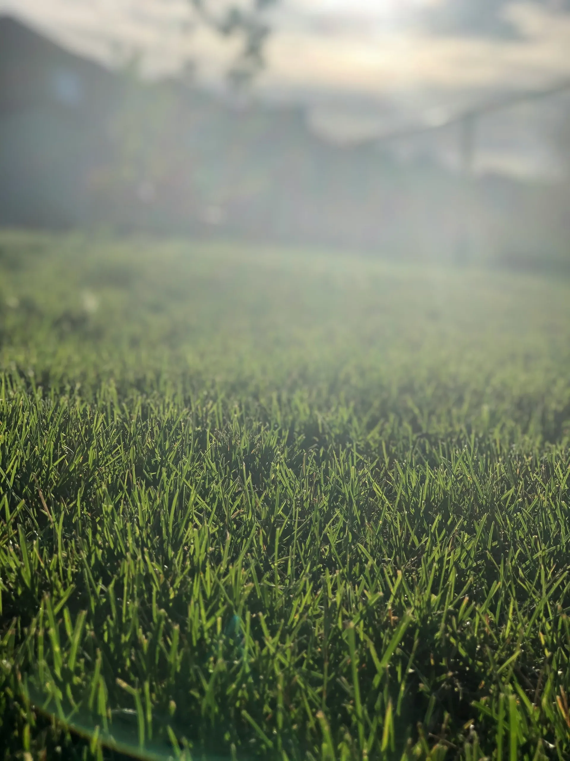 Seasonal Landscaping Advice for a Beautiful Yard All Year