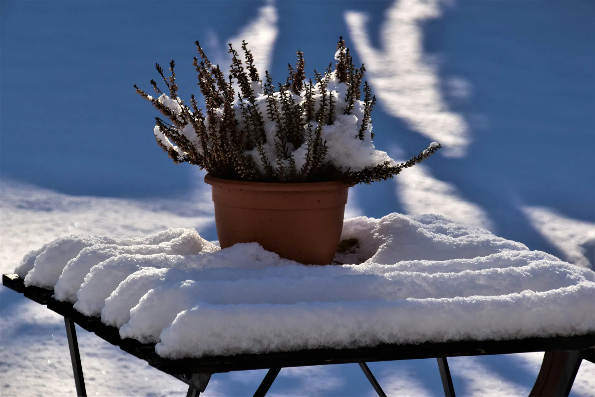 Seasonal Landscaping Advice for a Beautiful Yard All Year