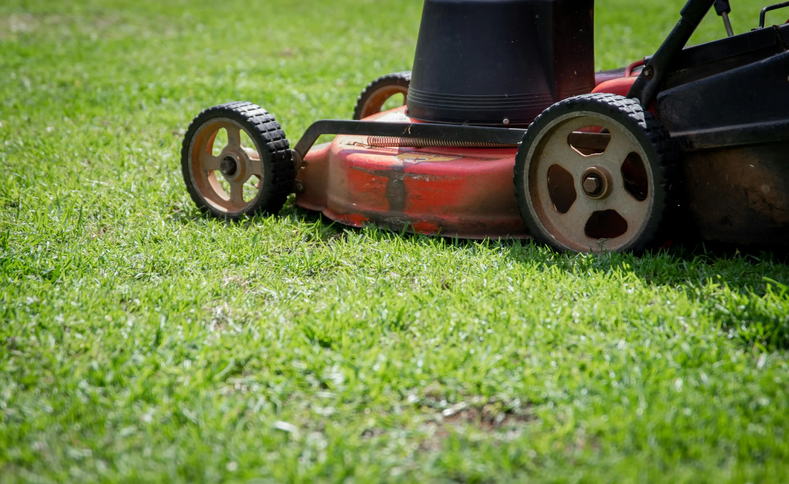 Unlocking Your Healthier Yard: A No-Nonsense Guide to Mow Your Lawn Like a Pro