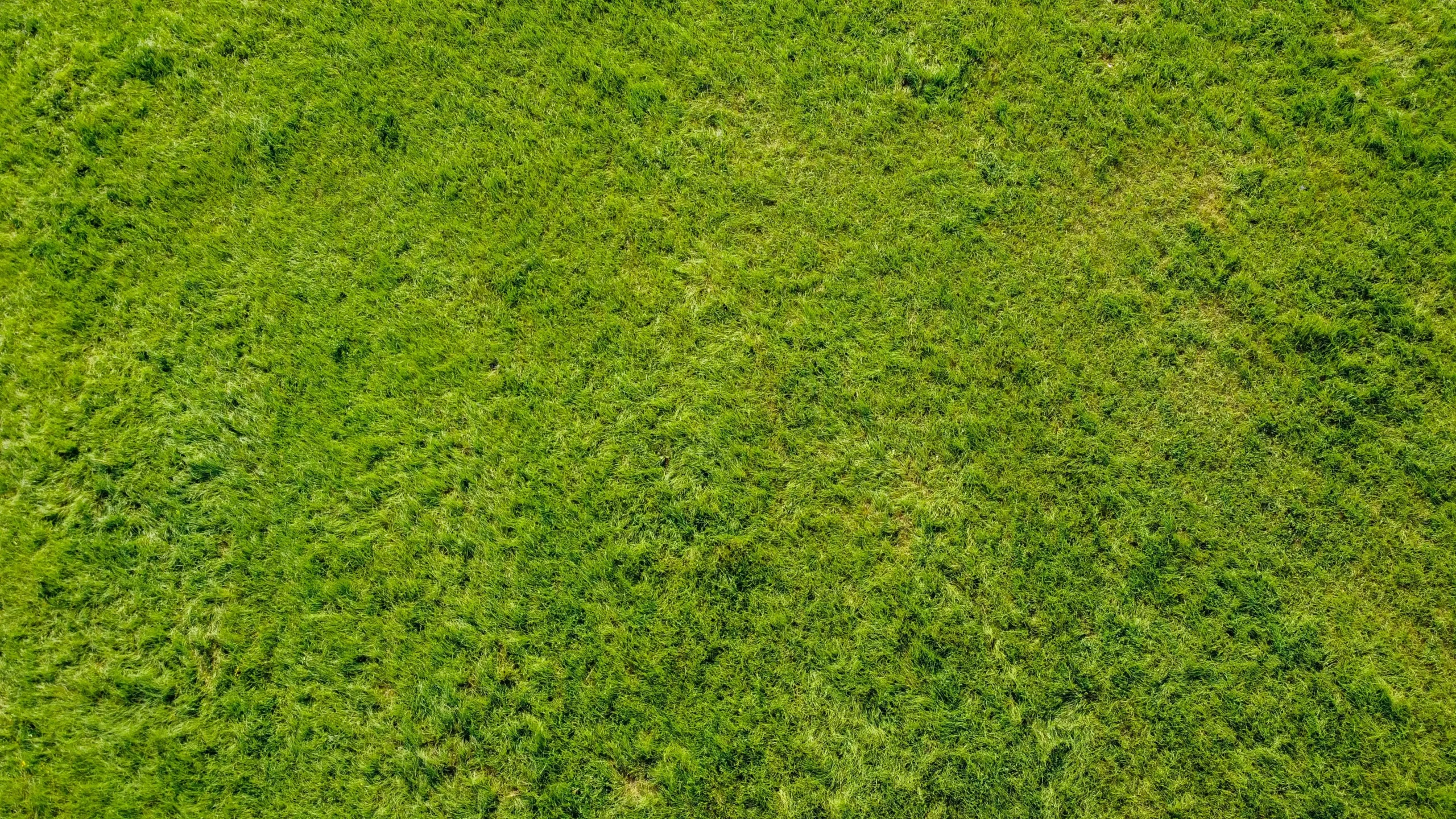 Unlocking Your Healthier Yard: A No-Nonsense Guide to Mow Your Lawn Like a Pro