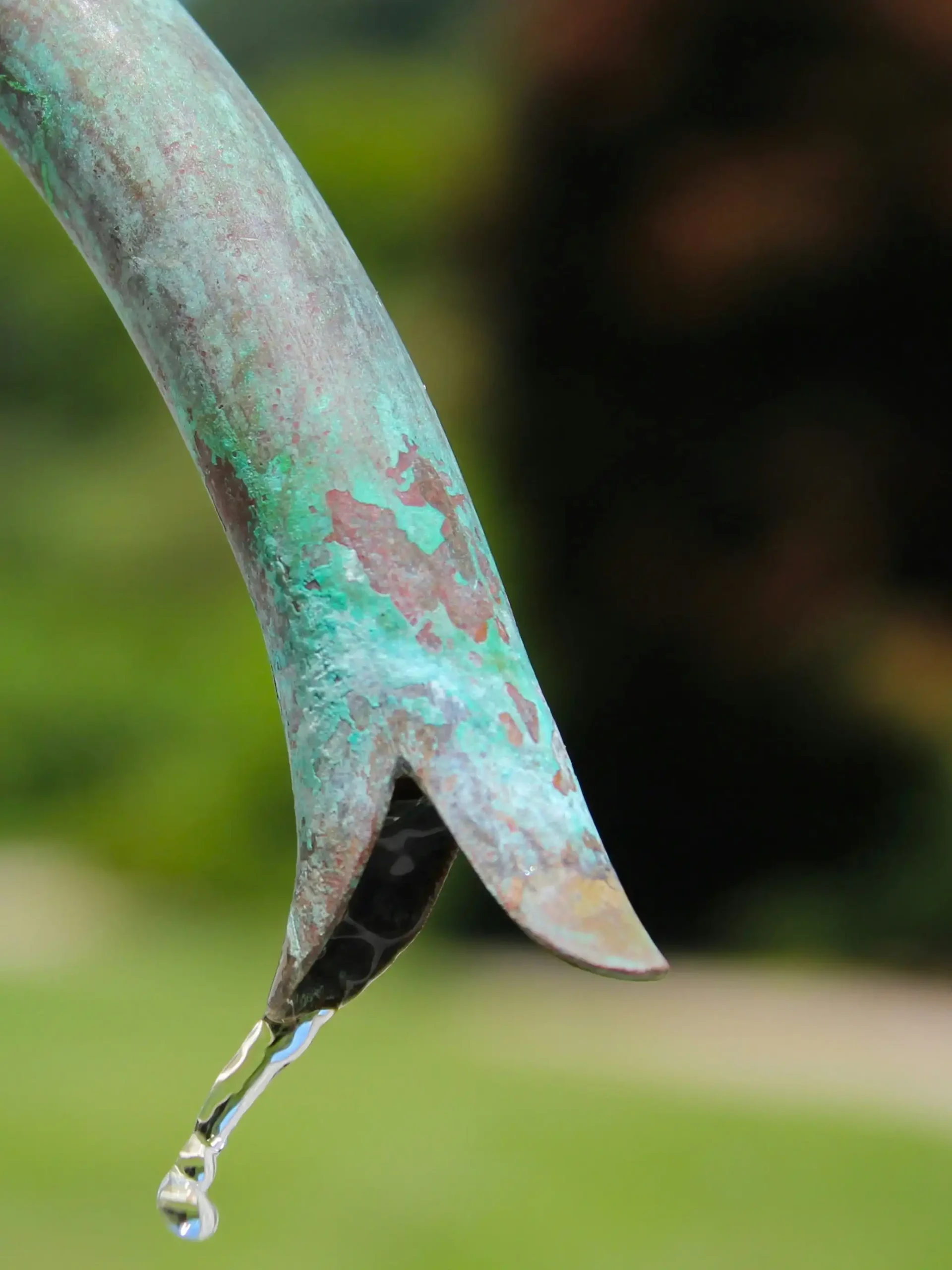 Unlocking Your Healthier Yard: A No-Nonsense Guide to Mow Your Lawn Like a Pro