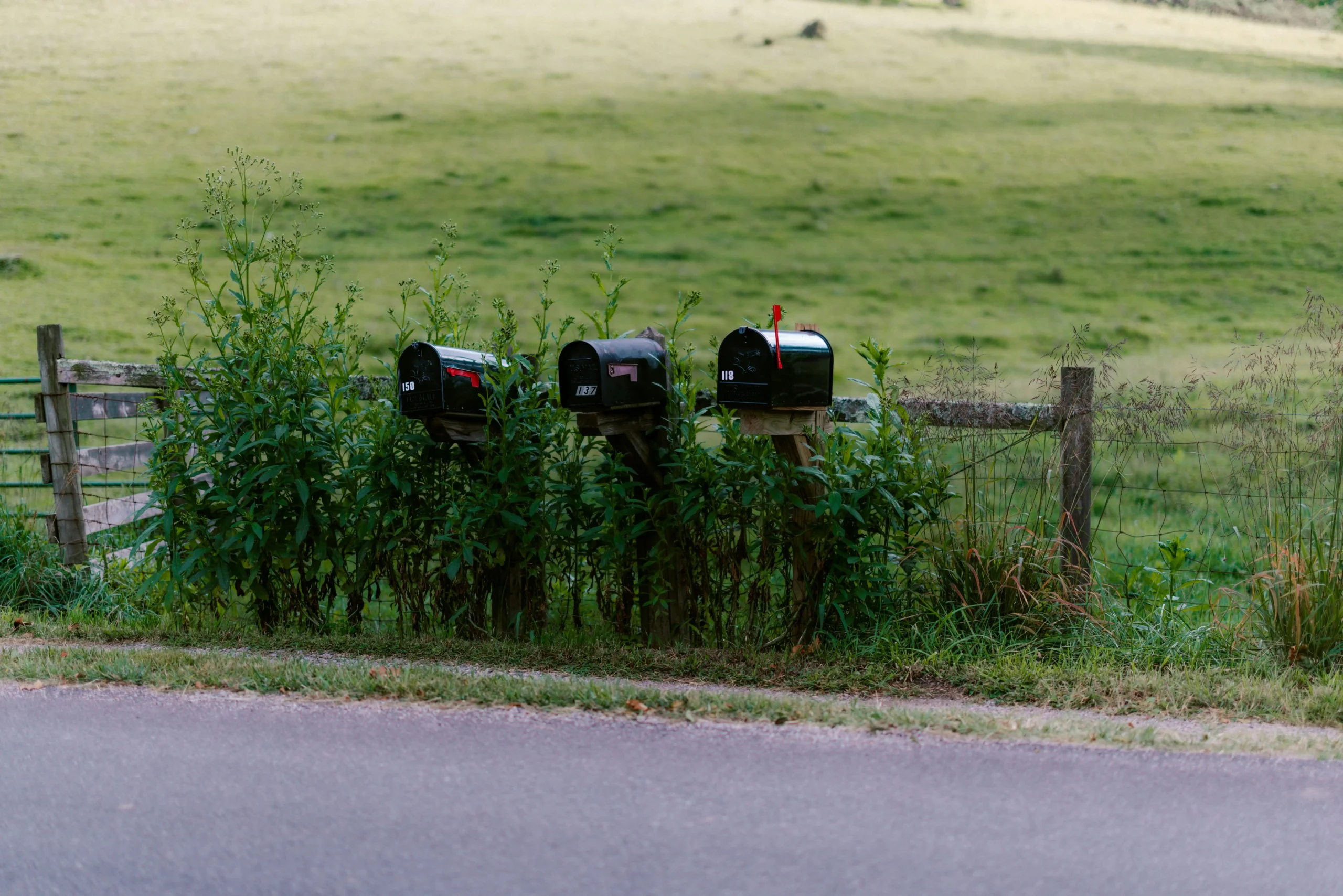Unlocking Your Healthier Yard: A No-Nonsense Guide to Mow Your Lawn Like a Pro