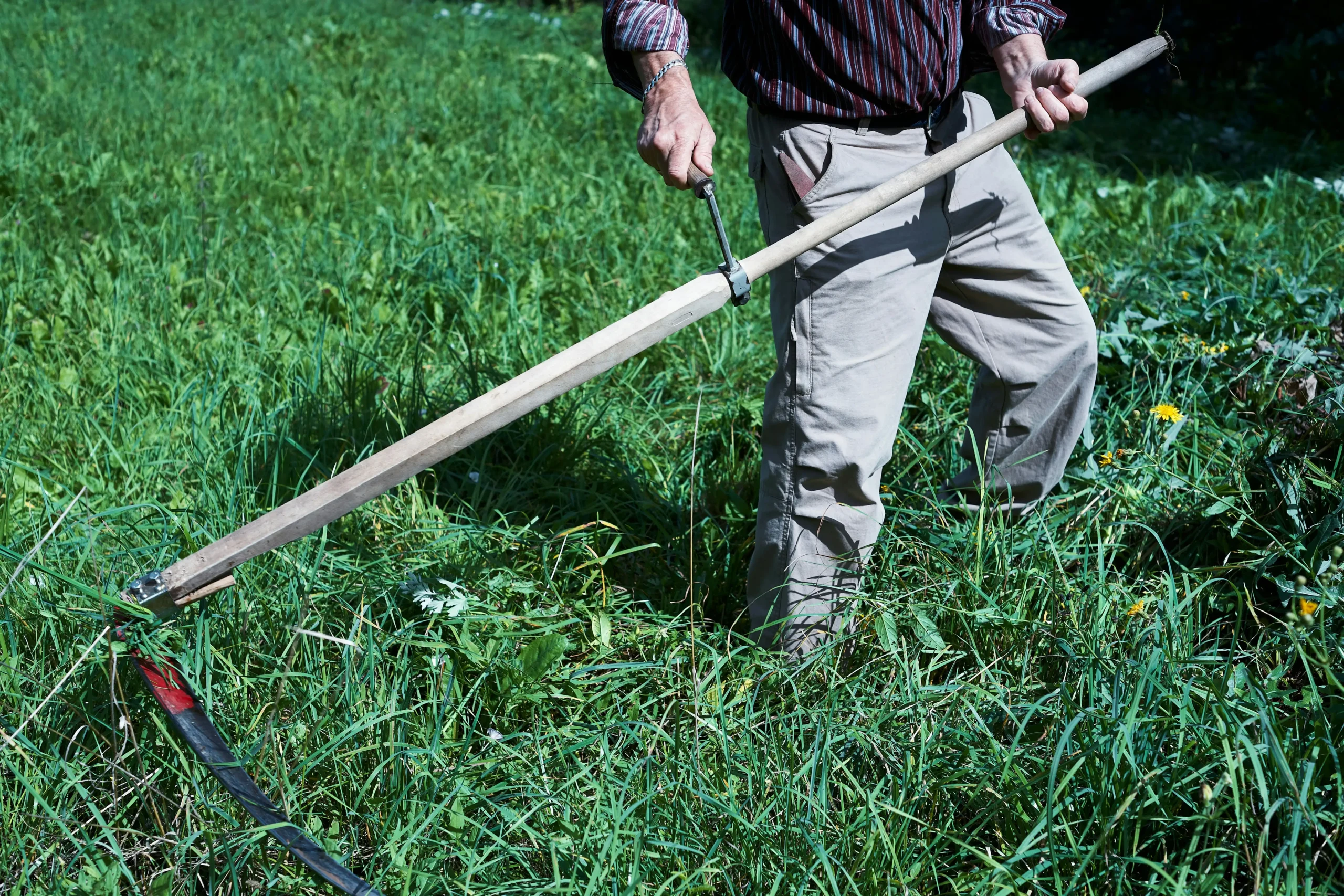 Unlocking Your Healthier Yard: A No-Nonsense Guide to Mow Your Lawn Like a Pro