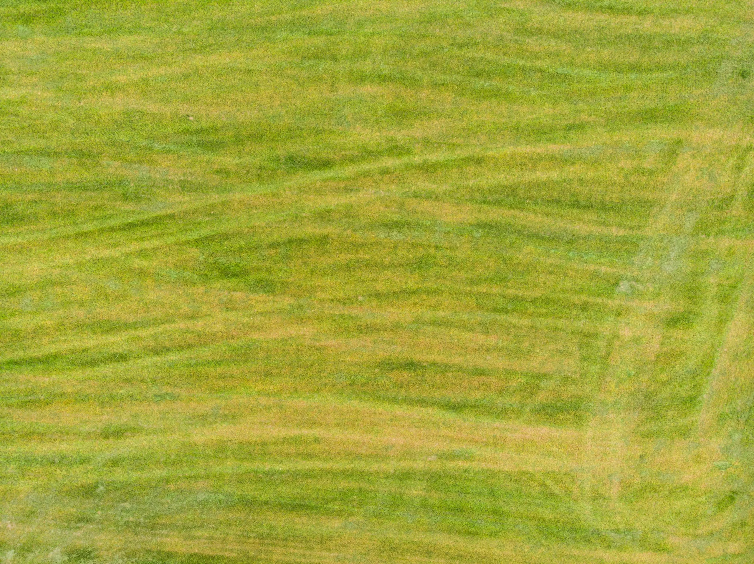 Unlocking Your Healthier Yard: A No-Nonsense Guide to Mow Your Lawn Like a Pro