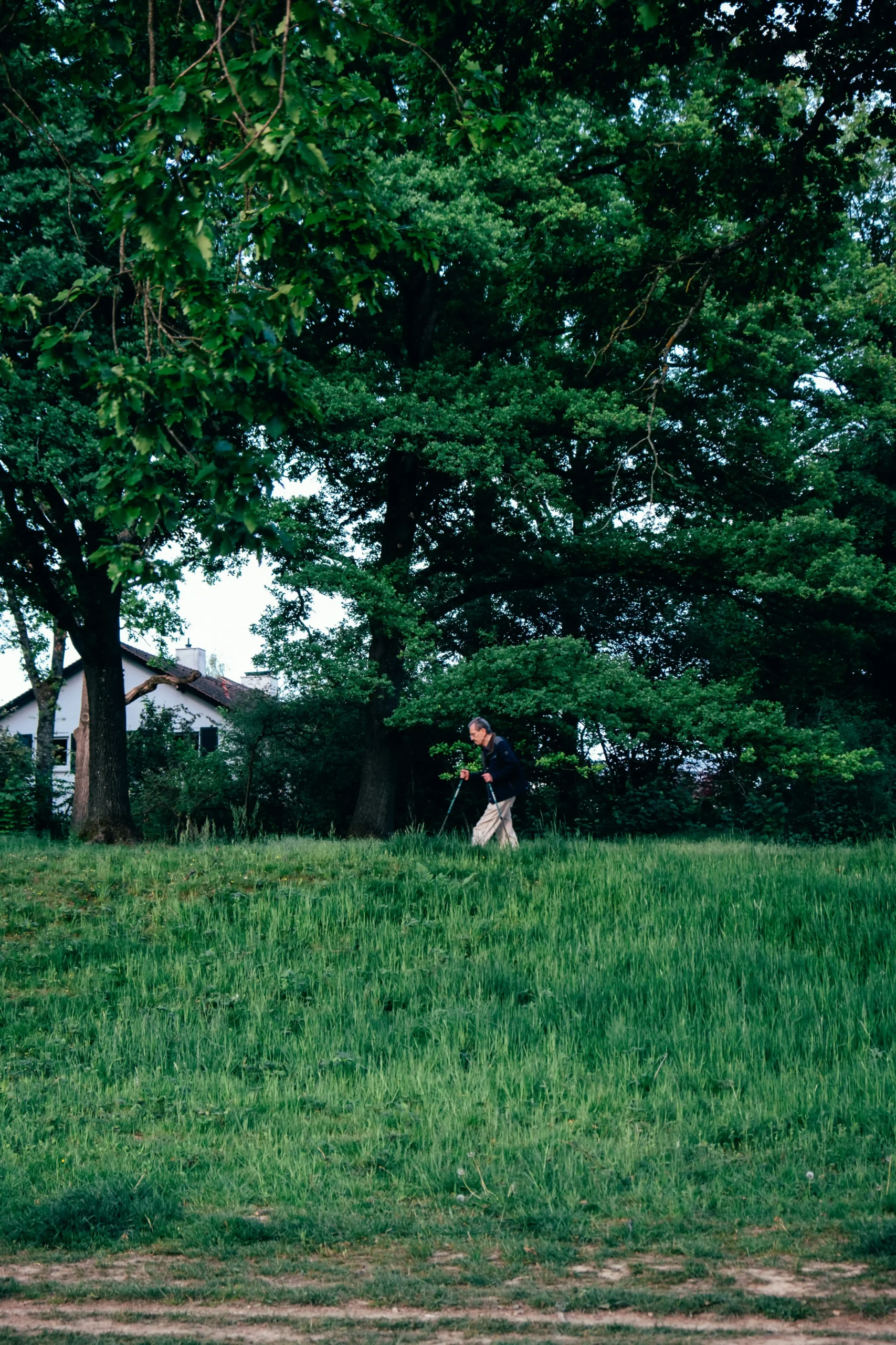 Unlocking Your Healthier Yard: A No-Nonsense Guide to Mow Your Lawn Like a Pro