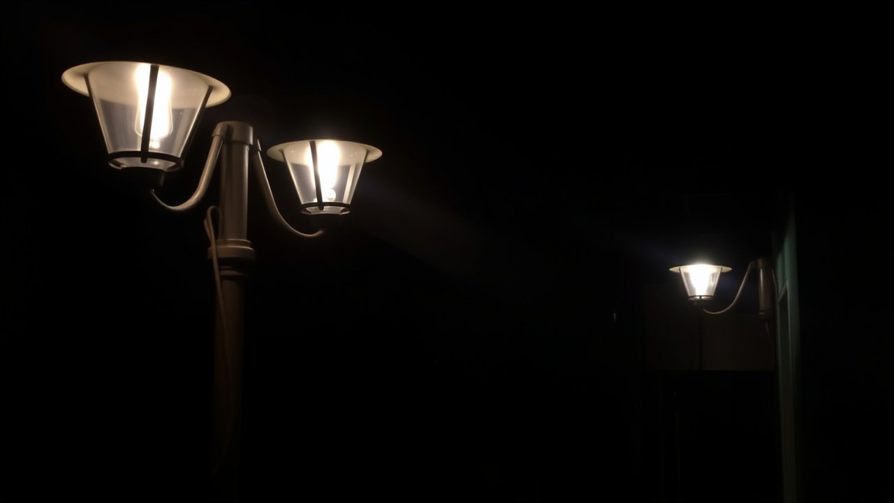 Outdoor Lighting Design: How to Highlight Your Landscape at Night