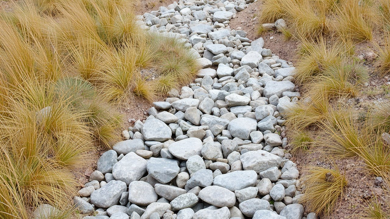 A dry stone stream that curves through local grass plants.