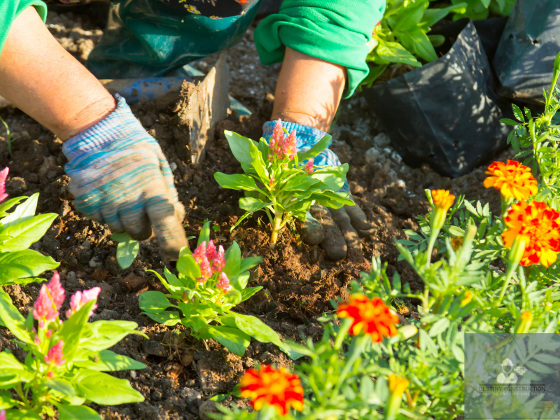 Drought resistant plant lists for eco landscaping