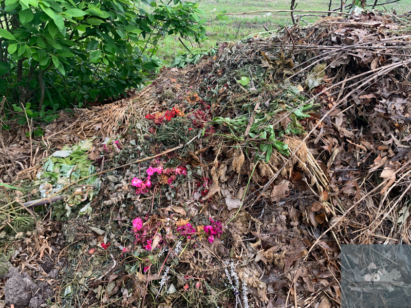 Soil regeneration techniques for a healthier landscape 1