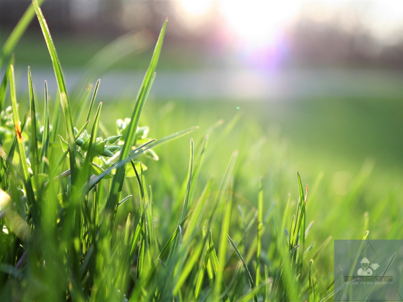 The Benefits of Switching to Organic Lawn Care 1