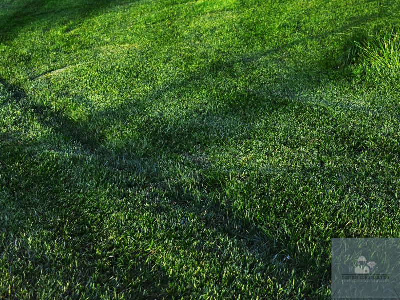 The Ultimate Organic Lawn Care Schedule for a Healthier Greener Yard 2