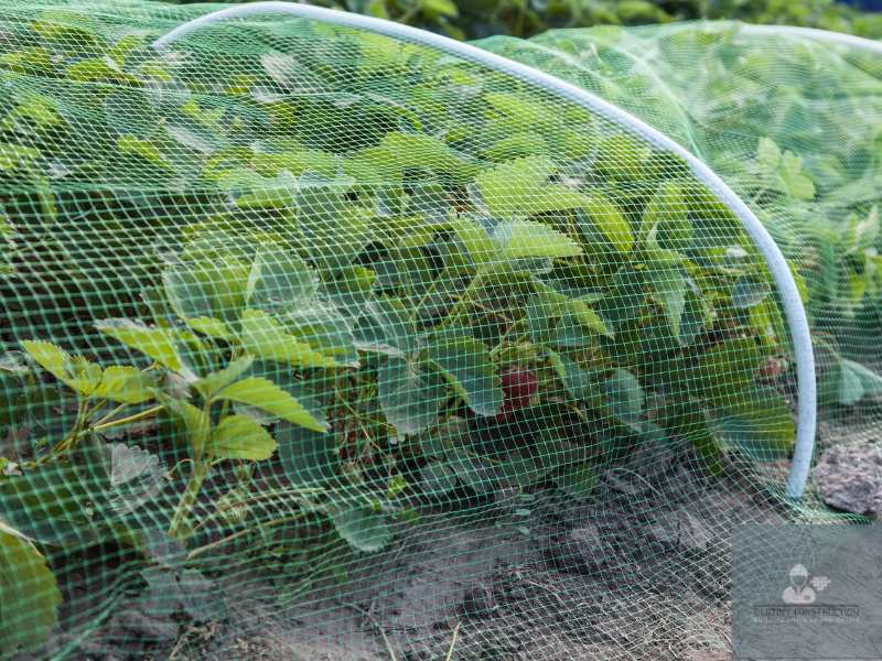 eco friendly garden pest control without chemicals 1