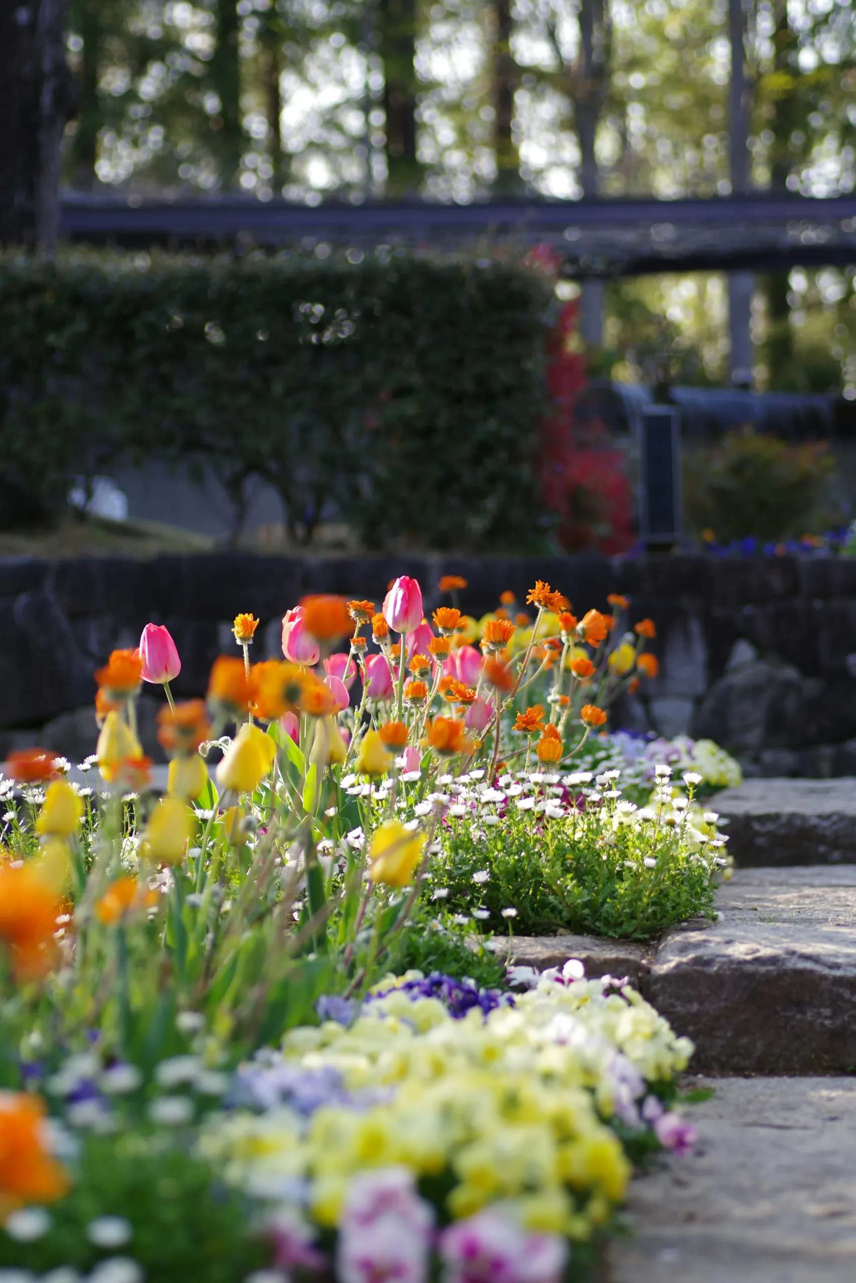 Seasonal Landscaping Advice for a Beautiful Yard All Year