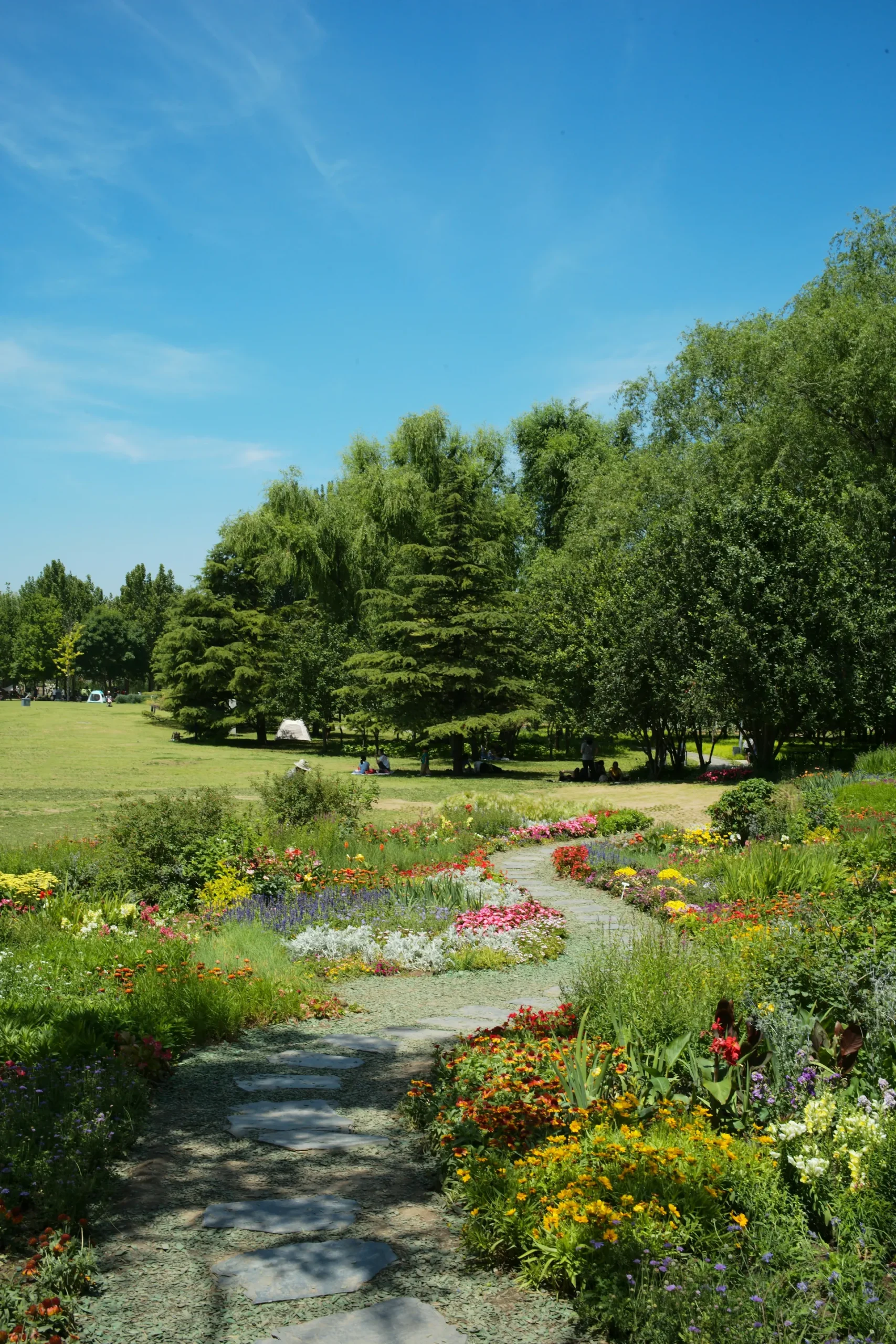 Summer Landscaping and Outdoor Living