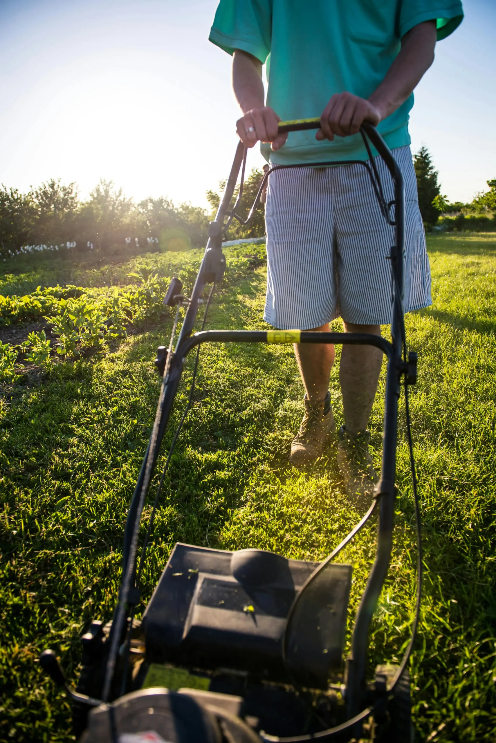 Unlocking Your Healthier Yard: A No-Nonsense Guide to Mow Your Lawn Like a Pro