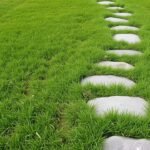 Small Yard Landscaping: How to Create a Relaxing Green Oasis