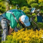 essential factors to consider when hiring a landscaping company in olympia wa