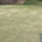 5 Ways to Aerate Your Lawn 2