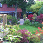 Drought resistant plant lists for eco landscaping 2