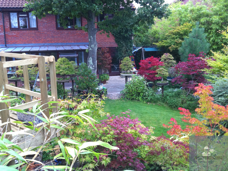 Drought resistant plant lists for eco landscaping 2