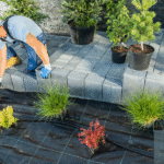 Landscape design and plant selection