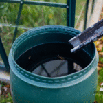 Rainwater harvesting ideas for eco friendly landscapes 2