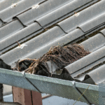 Sustainable backyard makeover ideas for 2025 1