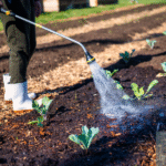 eco friendly garden pest control without chemicals 2