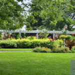 strategies to help you create your dream garden