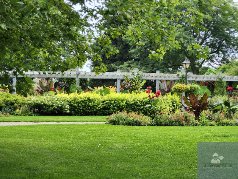 strategies to help you create your dream garden