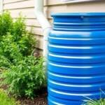 the key to a low maintenance eco garden