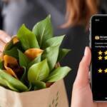 best lawn and leaf bags reviews and buying guide